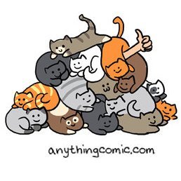 gato_servant's profile picture. you're not a cat person until you're a cat person 
* ΒΑΛΤΕ ΜΑΣΚΑ ΡΕ ΜΑΛΑΚΕΣ *