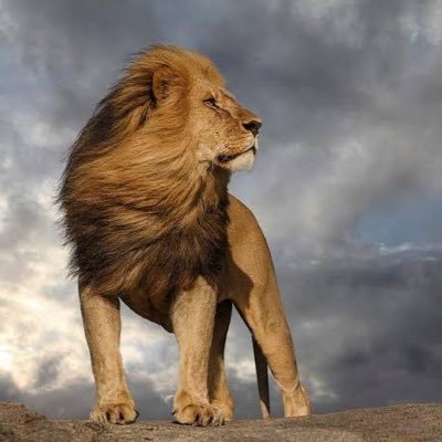 baba_wynter's profile picture. Loving Husband |Social Engager|