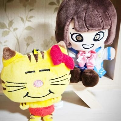 きょん💙💛さんのプロフィール画像