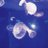 dcx_221218's profile image