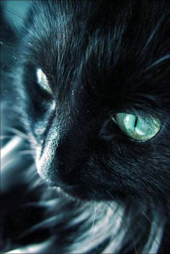 aresieru's profile picture. 出張だらけの仕事してます アニメやら漫画やらゲーム好きです  最近はモンハンが熱い