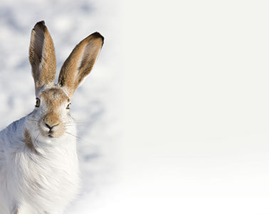 HcBPencil's profile picture. Previously a back-end developer in London. Now a trainee Advanced Clinical Practitioner in ED with about 10 years in an ambulance.