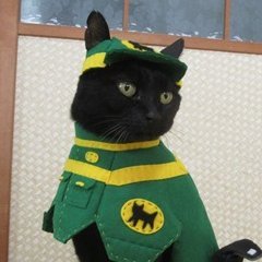 コスプレしてます。猫の名前はチョコラ。 略して「コスチョコ」よろしくにゃ~。 全部手づくり、気の向くままに一針一針縫っています。 写真は一回10分程度、「写真撮るよ~」と呼ぶと来てくれるのでそんなに嫌がってないはず… 気が向くときに遊んでもらっております。作り続けて100着以上!ブログ「コスチョコ」もよろしくね~♪