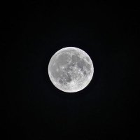 mooncrab(@celestinaaaaaa_) 's Twitter Profile Photo