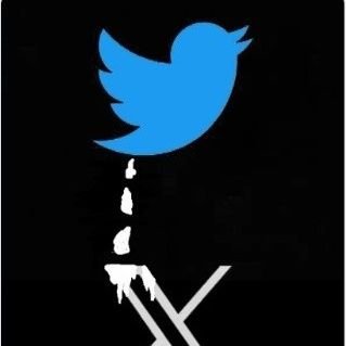 bizareahhposts's profile picture. safe haven from the plague: onlyfan hoes, bots, checkmarks and other trash Elon's arrival...