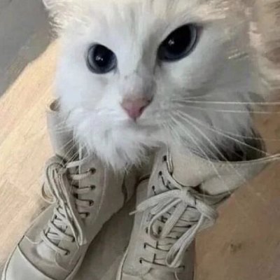 Discord: (ask)
Kosovar imperialist (real)
