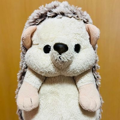 モグちゃんです！ハリネズミのぬいぐるみです。のんびりYouTubeやってます。無言フォロー失礼します！