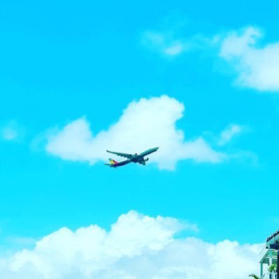 jAgD1ICuwuXHUK7's profile picture. #琉球ゴールデンキングス 👑 が好きすぎて、いつか沖縄に住みたいと夢見ています。        無言フォロー失礼します🙂 よろしくお願いします🏀