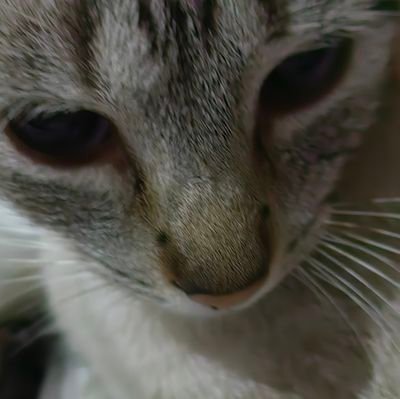 vin07alex's profile picture. Químico Farmacéutico, Bioética, Fan del Comic, Sencillo y Especial.... Confiando en Dios