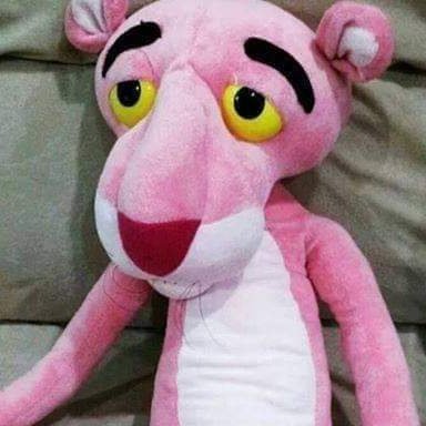 ezknet's profile picture. 