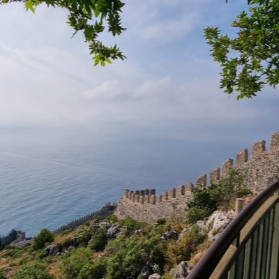 arif_koca11's profile picture. p o