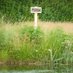 Antrop. Ambiental (@waterinconflcts) Twitter profile photo Antrop. Ambiental (@waterinconflcts) Twitter profile photo