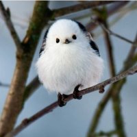 꿀팁백업용 (@yjx3836) 's Twitter Profile Photo
