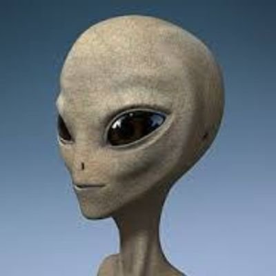 TearikiZz's profile picture. 