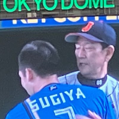 日本ハムファイターズファン