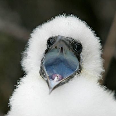 endemicsound's profile picture. make beet punch fascists