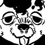 ikki 🔞さんのプロフィール画像
