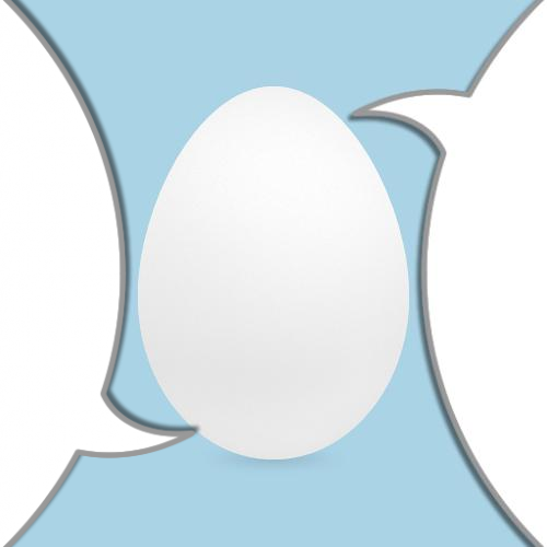 younny_ni's profile picture. 