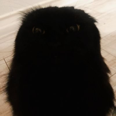 chermenpshih's profile picture. 