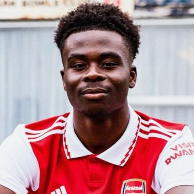 Number 1 Arsenal Fan Acccount @arsenal🔴⚪️|Formula 1 Fan @redbullracing|Not affiliated with Bukayo Saka