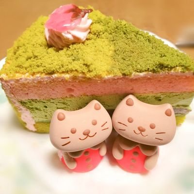 らいな🐱◢͟￨⁴⁶ 向井純葉　櫻坂三期生