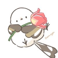 ぴー (@shina807518) Twitter profile photo