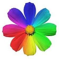 मै गरीब हूं ⛺ ip (Ø,G) ( Ø,G ) Ø,G (@roushan456456rk) Twitter profile photo