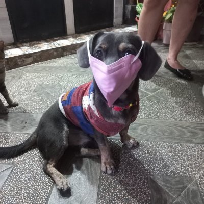 neinniner's profile picture. 真金不怕火