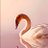 creation_788