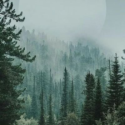 NavinGanesh6's profile picture. 