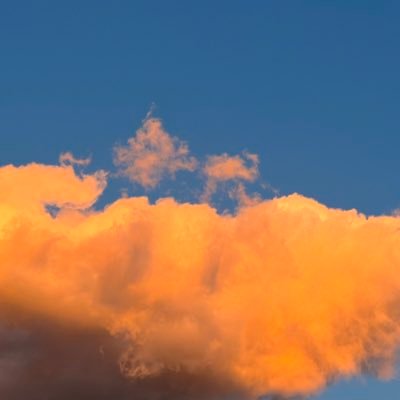 smatsu210's profile picture. たまびけんちく