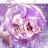 鶲さんのプロフィール画像