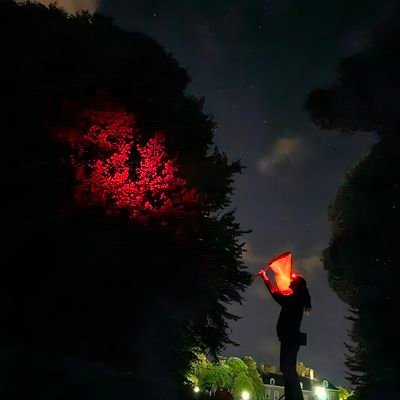 ALAN, moths and all things nature:) ⛰️🐝🦋
Studying light pollution 💡