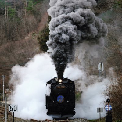 gfx100gfx100's profile picture. 🚂🚂🚂🚂🚂