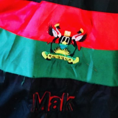 shanqueels1's profile picture. 