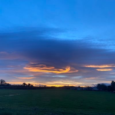 johnnyjtbrosnan's profile picture. Adhoc Engineer Dog Lover History and Trivia Buff. Never want to see an aircraft cabin again.