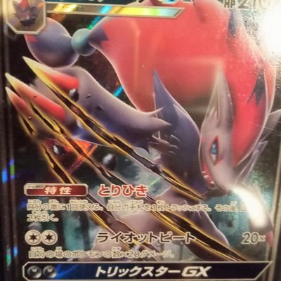 竜王戦2020補欠 CL京都2022優勝 WCS2020,2021.DAY2(→延期) WCS2022ロンドンTOP16 WCS2024ホノルル11位 バトルツアー大阪優勝(チーム関西ニキ)