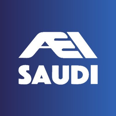 AEI Saudi (Arabian Enterprise Incubators)