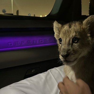 NetroX_'s profile picture. 