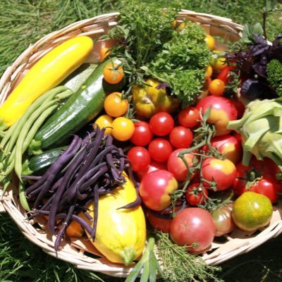 FombaOne's profile picture. Agriculture durable et bio | Environnement | Tendances et actualités pour une alimentation saine 🌱🌍🥕 #AgricultureBio #Durabilité