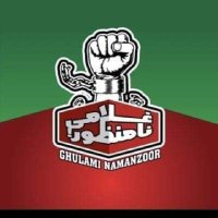 PTI Tiger's Army (@ptiarmy80) 's Twitter Profile