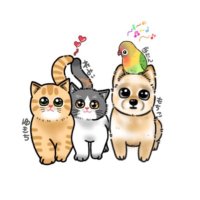 🐈ゆ🐕✨🥒♨️(@moco__06bota) 's Twitter Profile Photo