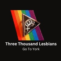 Three Thousand Lesbians(@3000_lesbians) 's Twitter Profile Photo