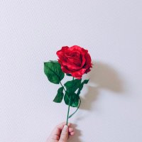 ななし (@08050313ty) 's Twitter Profile