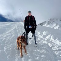 Kit Davis (@kitdavischef) 's Twitter Profile Photo