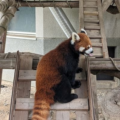 xaviwin6's profile picture. ポイ活初心者🔰