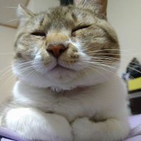 隠れん坊👀 (@ts38300075) 's Twitter Profile
