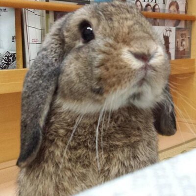ゲームばっかりやってます。呟きはそんなにしませんがバトオペ実況者でした。ソシャゲはグラブル、ウマ娘
psゲームはバトオペ2がメインです。
psidはsouken23
ウマ娘は917222519