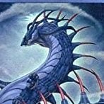 kanaami_sinken's profile picture. ジェネレイド、シムルグ使い。新たなランク9欲しい