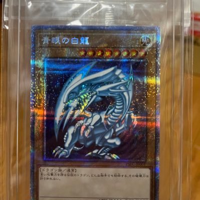 子供の頃、好きだった物を大切に 遊戯王 ヴァイス デュエルマスターズを中心に コレクションしています。ディスコードサーバー ヴァイスシュバルツ道場の創設者